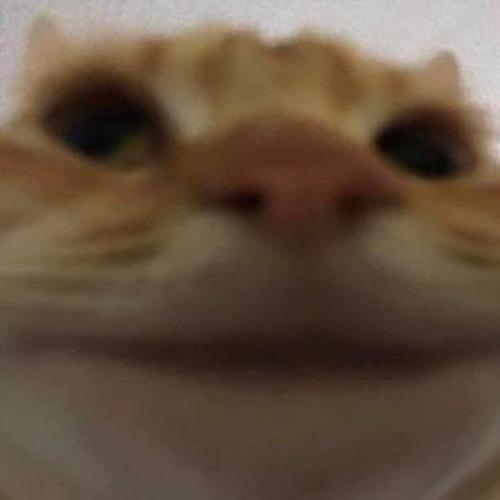 สมาชิกหมายเลข 6102959