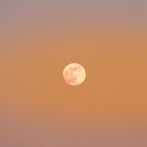 สมาชิกหมายเลข 6210640