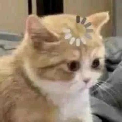 สมาชิกหมายเลข 7486471