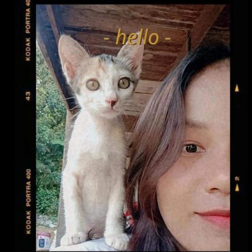 สมาชิกหมายเลข 4529372