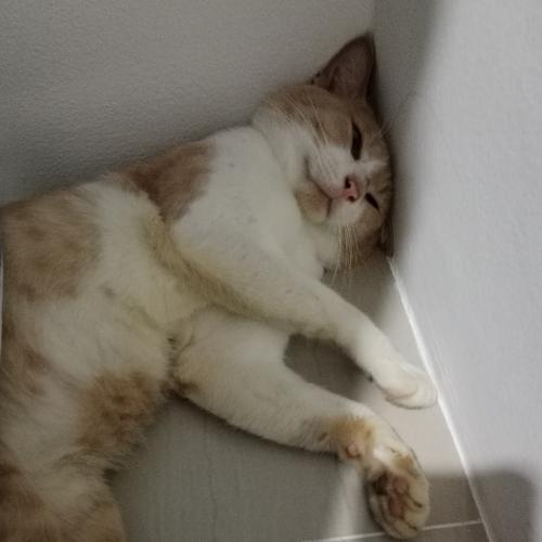 สมาชิกหมายเลข 5960260