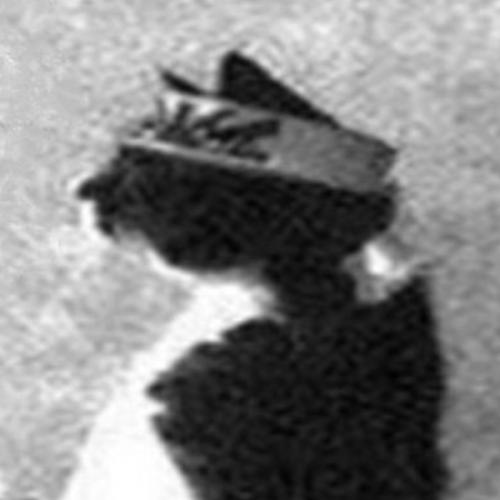 สมาชิกหมายเลข 6721505