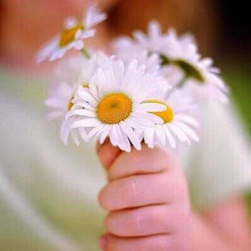 สมาชิกหมายเลข 3946012