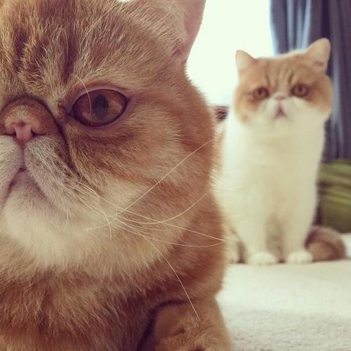 สมาชิกหมายเลข 3946112