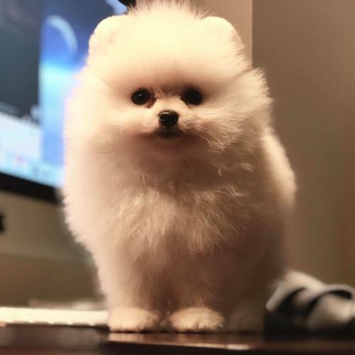 สมาชิกหมายเลข 1132656