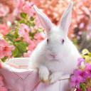 สมาชิกหมายเลข 3779496