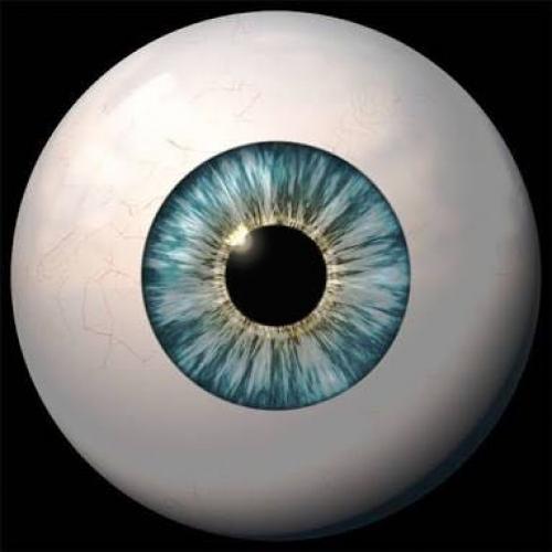 สมาชิกหมายเลข 4424891