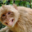 สมาชิกหมายเลข 2864005