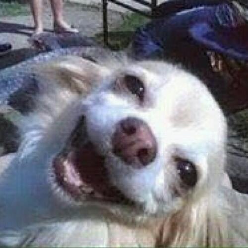 สมาชิกหมายเลข 5148295