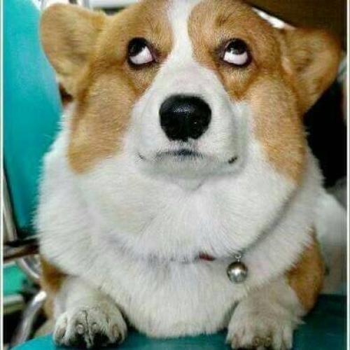 สมาชิกหมายเลข 5148371