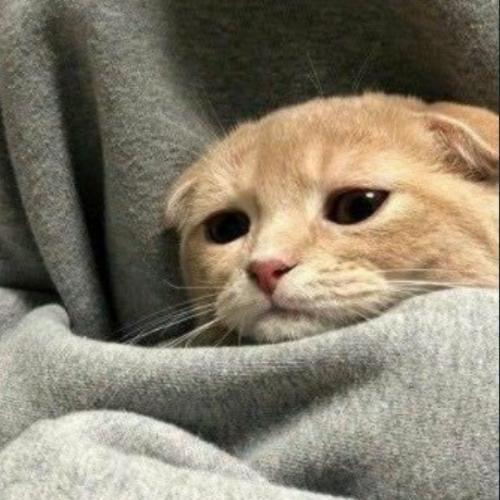 สมาชิกหมายเลข 5549028