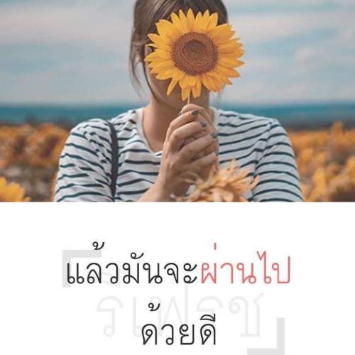 สมาชิกหมายเลข 5549291