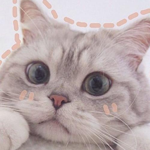 สมาชิกหมายเลข 5549510