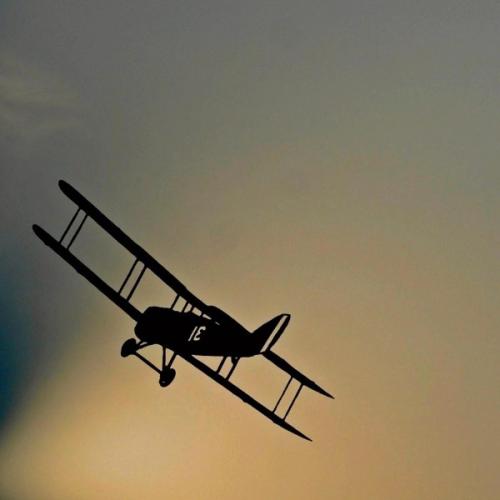 สมาชิกหมายเลข 6101362