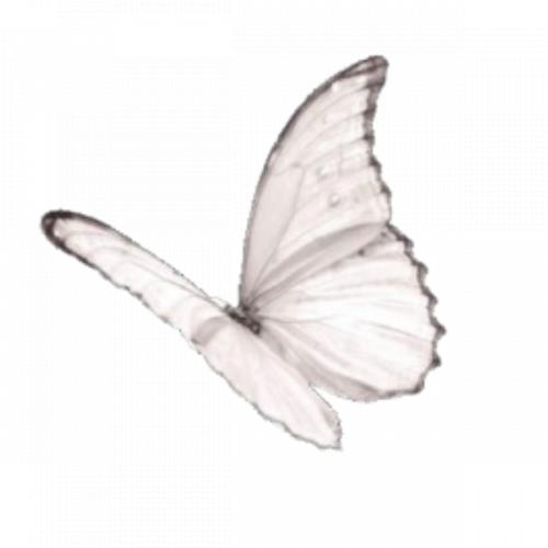 สมาชิกหมายเลข 5511276