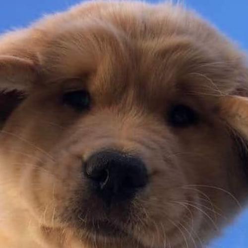 สมาชิกหมายเลข 6727783