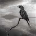 สมาชิกหมายเลข 3945372