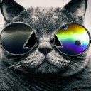 สมาชิกหมายเลข 4421904