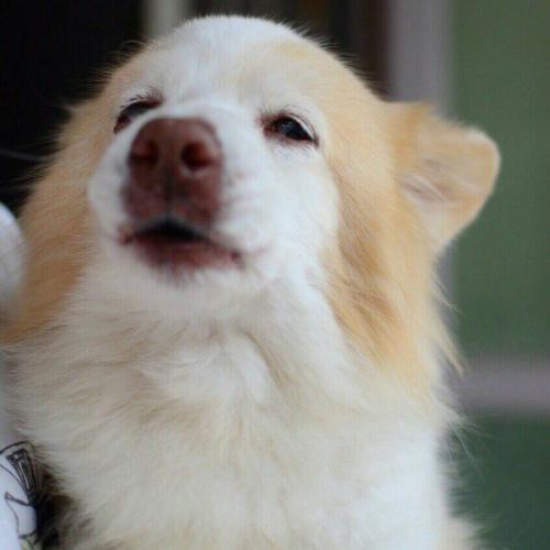 ขนมอบเชยที่รัก