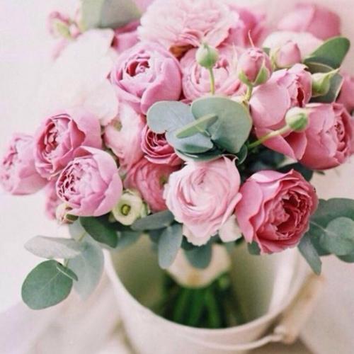 สมาชิกหมายเลข 4772468