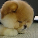 สมาชิกหมายเลข 1191639