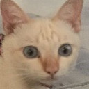 ห้องทดลองหมายเลข7