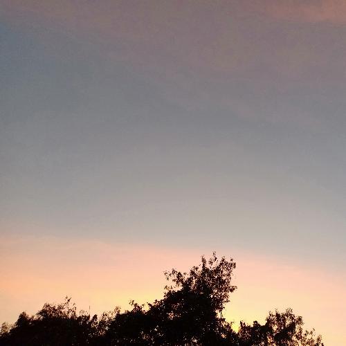 สมาชิกหมายเลข 5148774