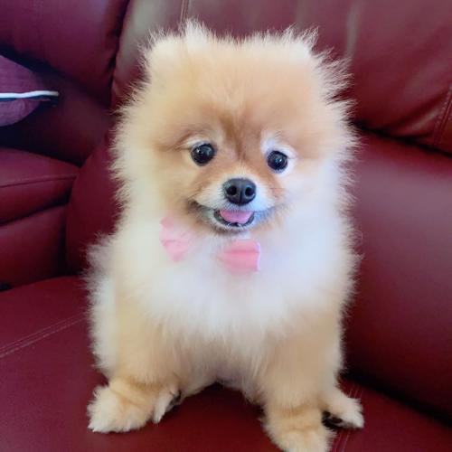 สมาชิกหมายเลข 5977044