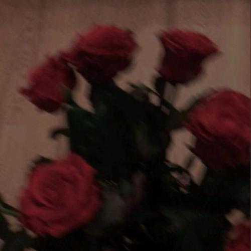 สมาชิกหมายเลข 5525620