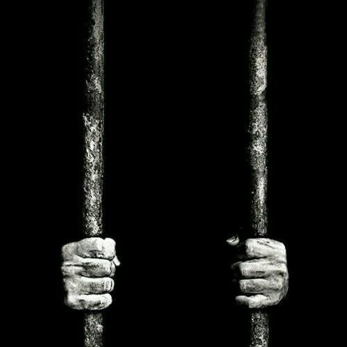 สมาชิกหมายเลข 4772669