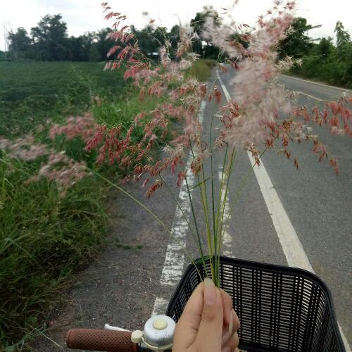 สมาชิกหมายเลข 5149157