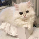 สมาชิกหมายเลข 3593169