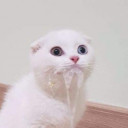 สมาชิกหมายเลข 5549872