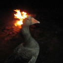 สมาชิกหมายเลข 5550158