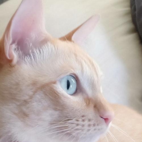 สมาชิกหมายเลข 6095355