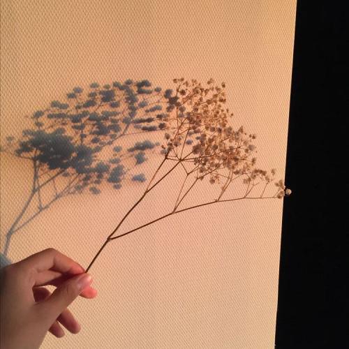 สมาชิกหมายเลข 6104600