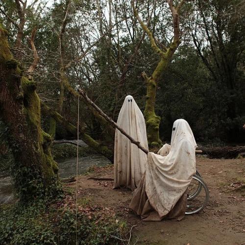 สมาชิกหมายเลข 5670312