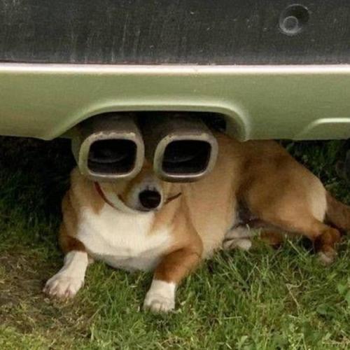 สมาชิกหมายเลข 7489192