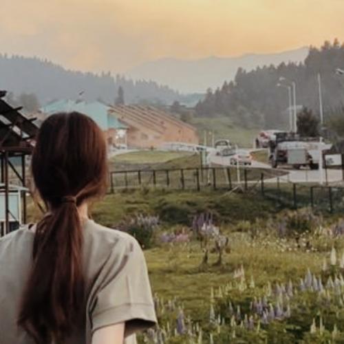 สมาชิกหมายเลข 6635940