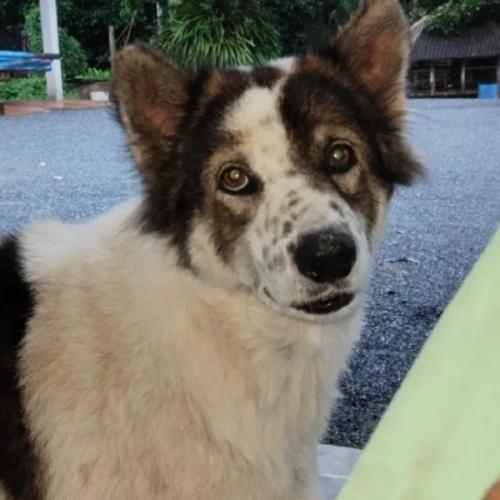 สมาชิกหมายเลข 8390568