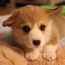 สมาชิกหมายเลข 3947298