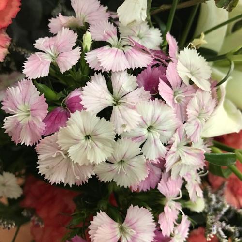 สมาชิกหมายเลข 5082921