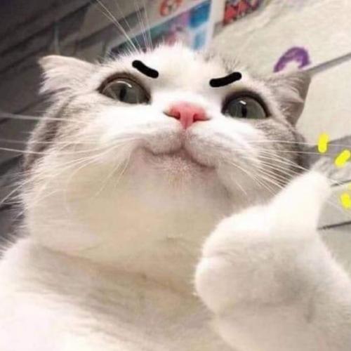 สมาชิกหมายเลข 3452146