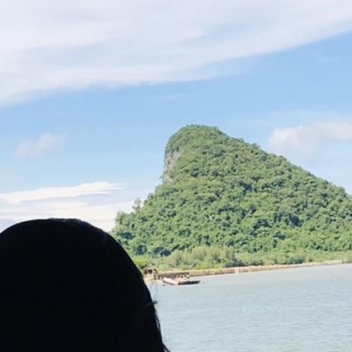 สมาชิกหมายเลข 6017446