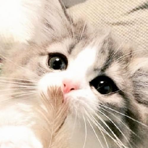 สมาชิกหมายเลข 6105061