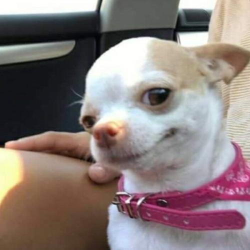 สมาชิกหมายเลข 1944788