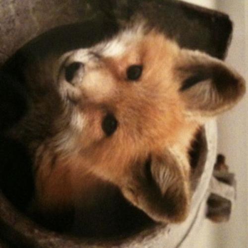 สมาชิกหมายเลข 6967027