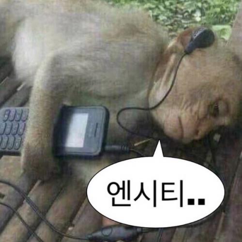 สมาชิกหมายเลข 8392252