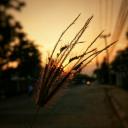 สมาชิกหมายเลข 1642832