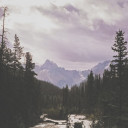 สมาชิกหมายเลข 3591450